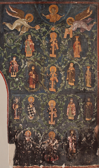  Лоза Немањића 