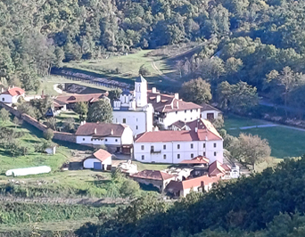  Прохор Пчињски 